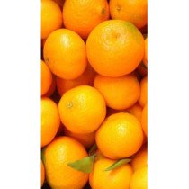 Oranges