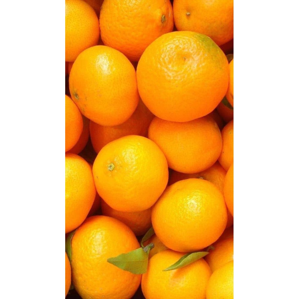 Oranges