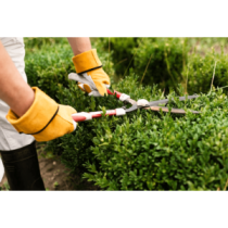 Entretien et maintenance de jardin