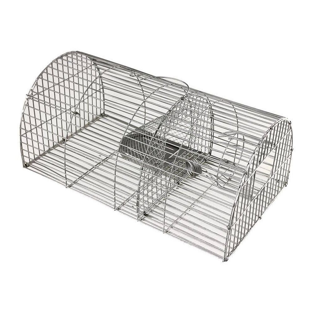 Cage multi-capture rats