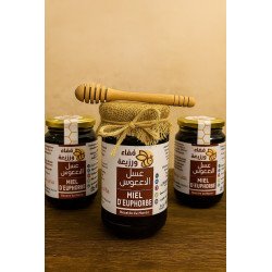 Miel d’Euphorbe – 500g