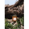Amlou Traditionnel – Délice Marocain à base d’Amandes, Miel et Huile d’Argan 250g