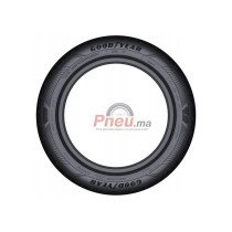 Pneu Goodyear EFFICIENTGRIP PERFORMANCE 2 205/55R16 91V