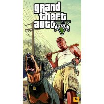 Jeu vidéo PS : GTA V